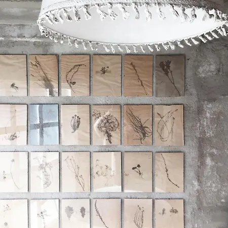 Camellas-lloret Montréal